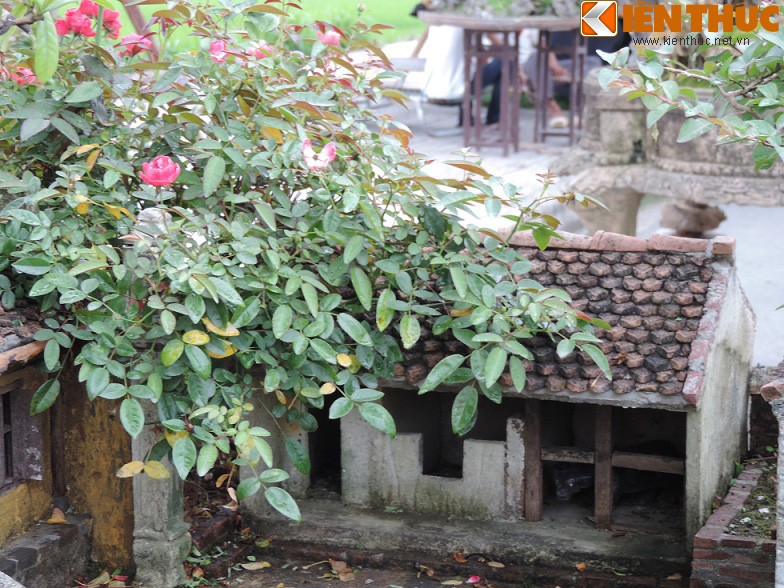 Tieu canh tu bonsai dep me hon cua nghe nhan Hai Phong-Hinh-9